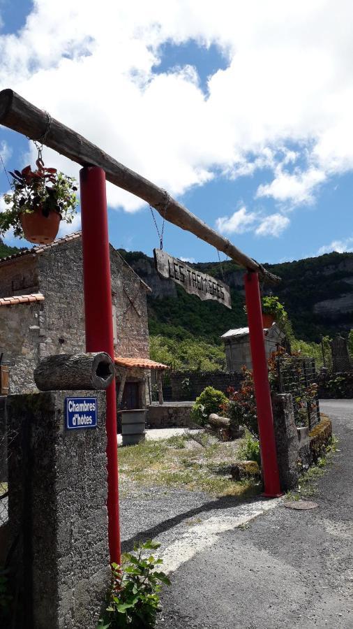 Les Tremieres Bed and Breakfast Saint-Paul-des-Fonts Εξωτερικό φωτογραφία