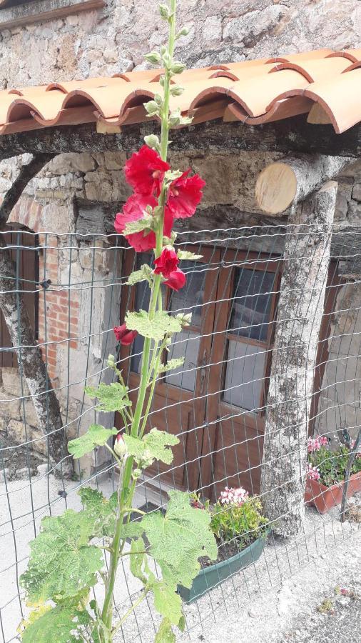 Les Tremieres Bed and Breakfast Saint-Paul-des-Fonts Εξωτερικό φωτογραφία