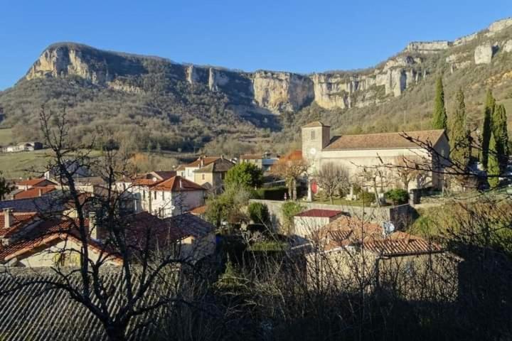 Les Tremieres Bed and Breakfast Saint-Paul-des-Fonts Εξωτερικό φωτογραφία